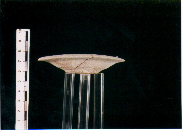 Piatto miniaturistico