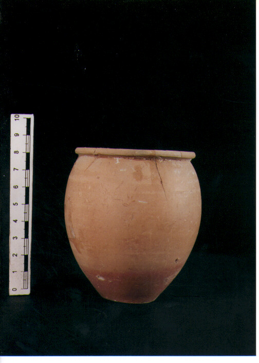 Bicchiere ovoide