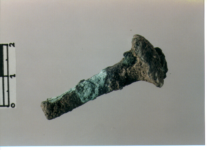 Chiodo