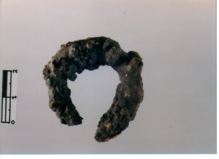 Chiodo ad anello