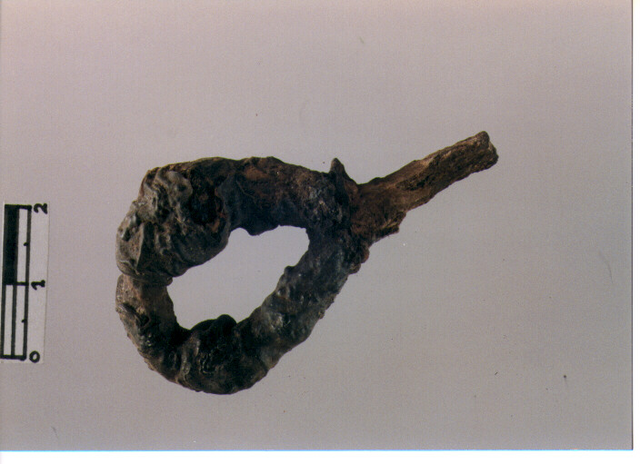 Chiodo ad anello