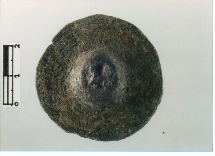 Borchia