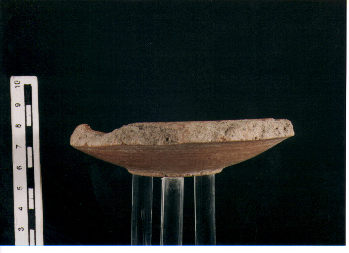 Piatto