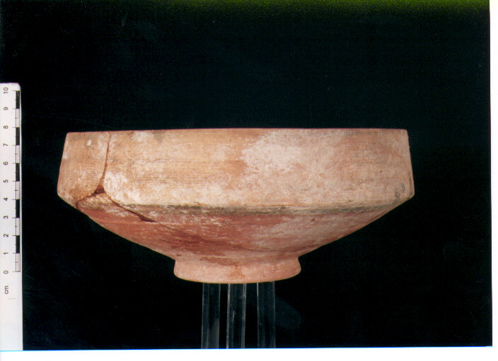 Coppa carenata
