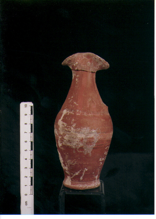 Brocchetta bilobata