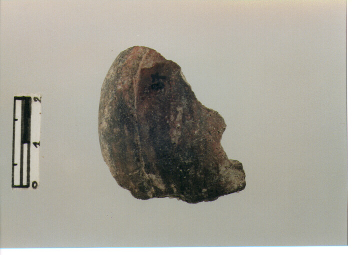 Fuseruola