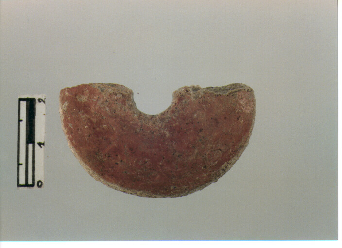 Fuseruola
