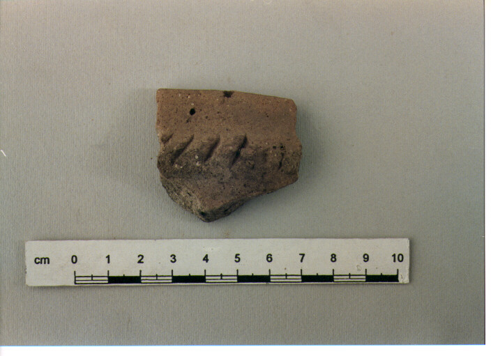 Vaso/ frammento