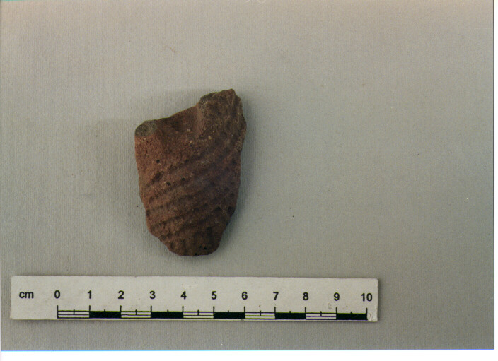 Vaso/ frammento