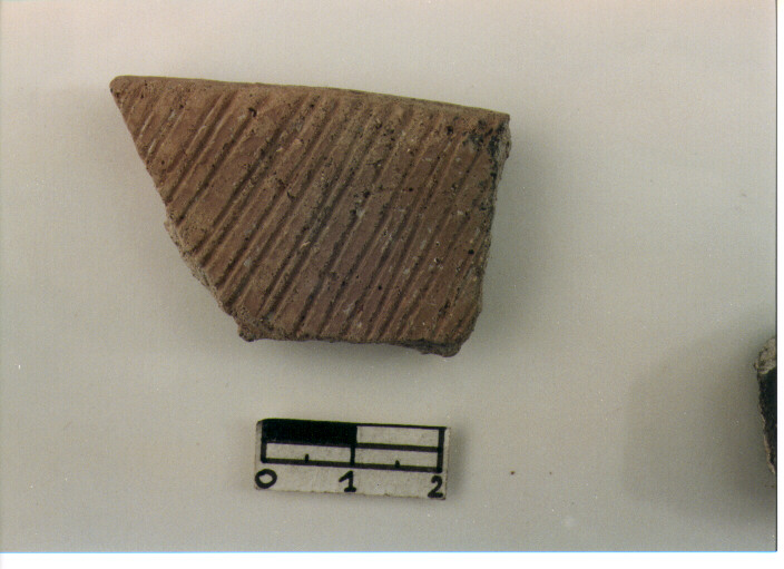 Vaso/ frammento