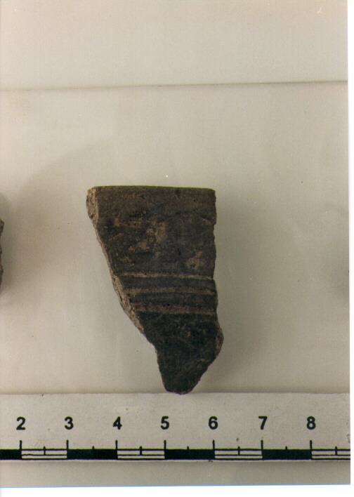 Vaso a cestello/ frammento
