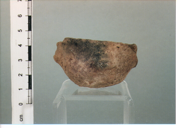 Tazza