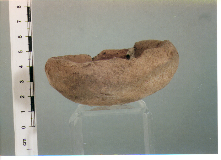 Ciotolina