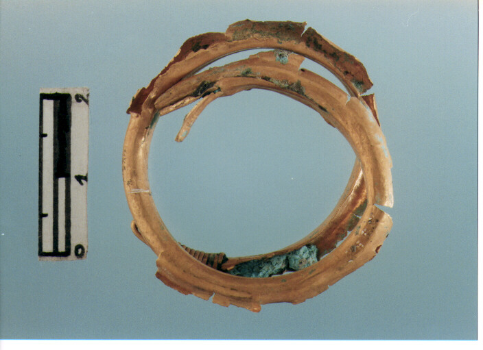 Anello crinale