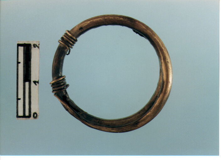 Anello crinale