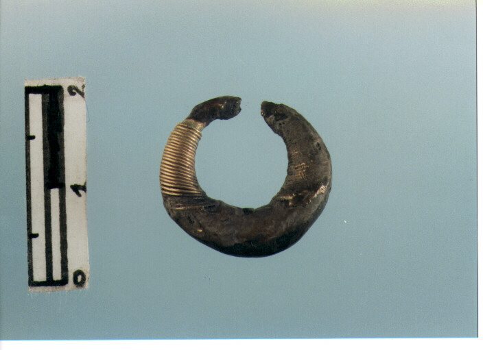 Anello crinale