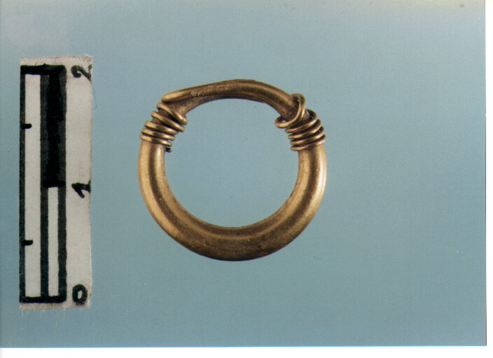 Anello crinale