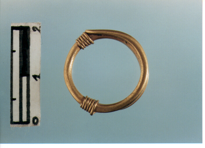 Anello crinale