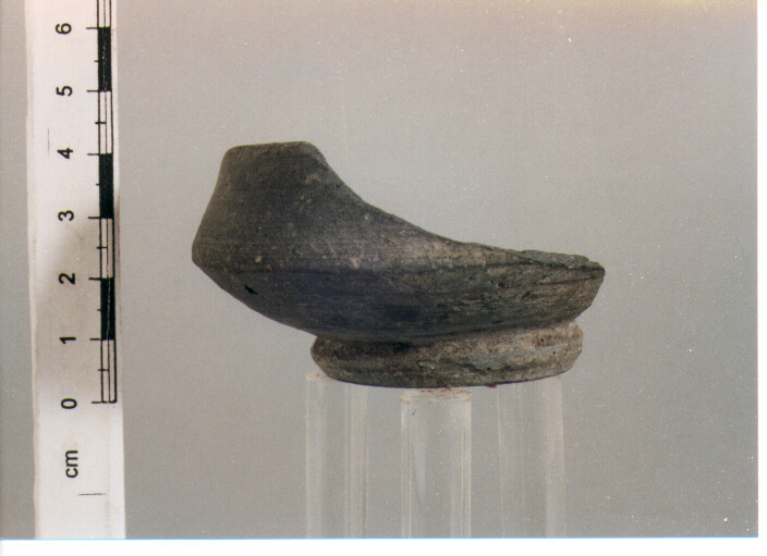 Coppetta carenata. morel 2733