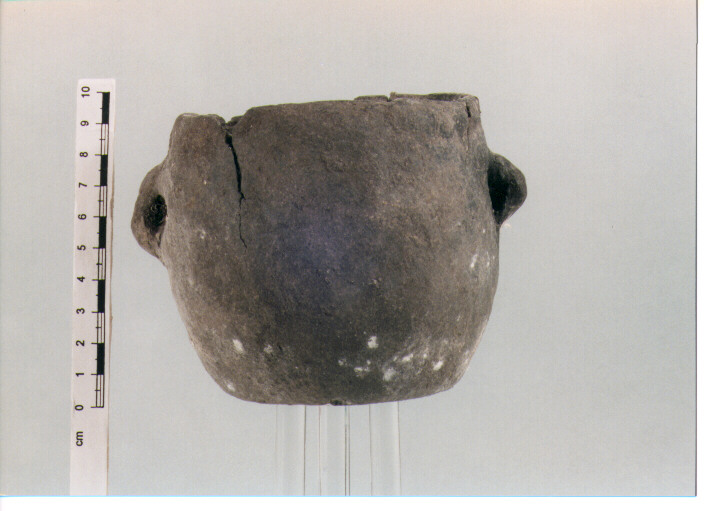 Tazza