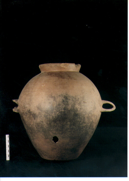 Olla biansata