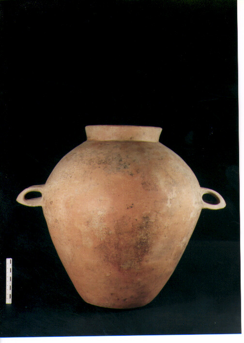 Olla biansata