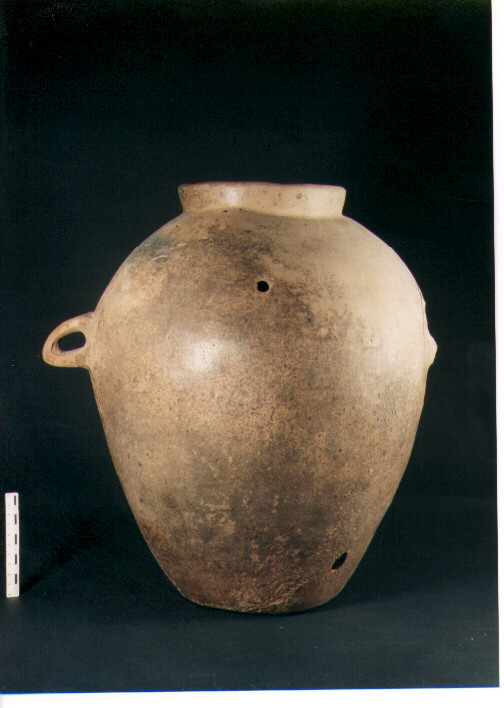 Olla biansata