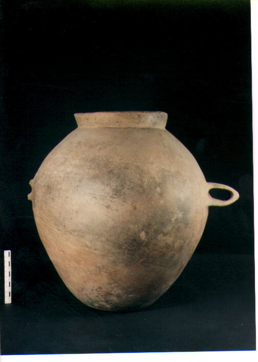 Olla biansata