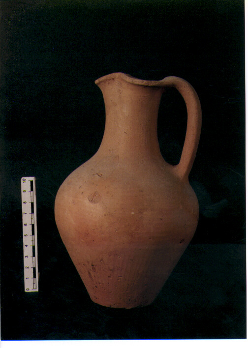 Brocchetta trilobata