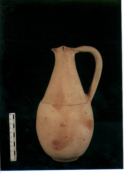 Brocca trilobata