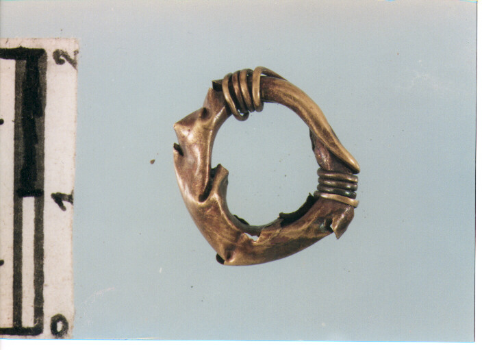 Anello crinale