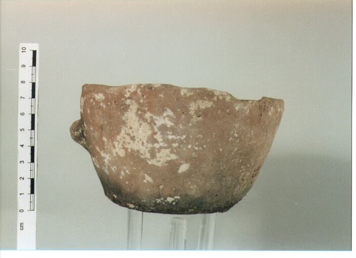 Tazza troncoconica