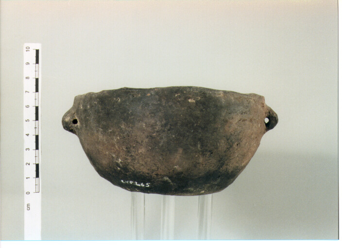 Tazza biansata
