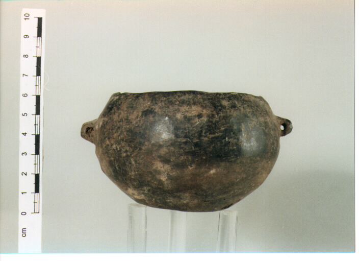 Tazza biansata