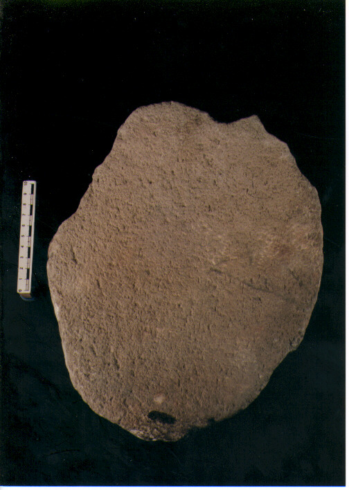 Macina