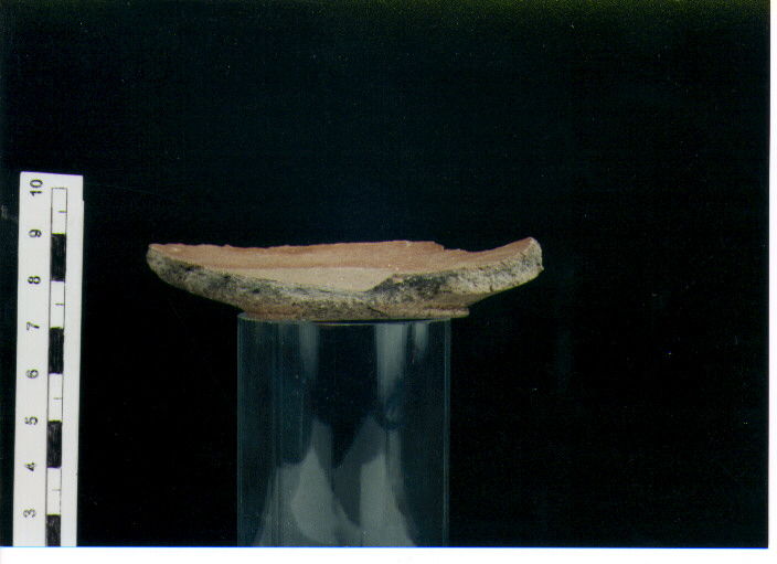 Piatto