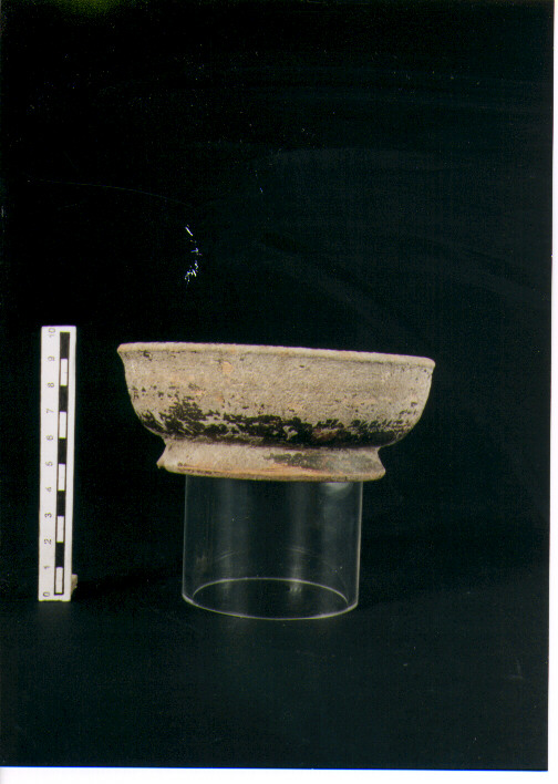 Coppa. morel 2662 a1