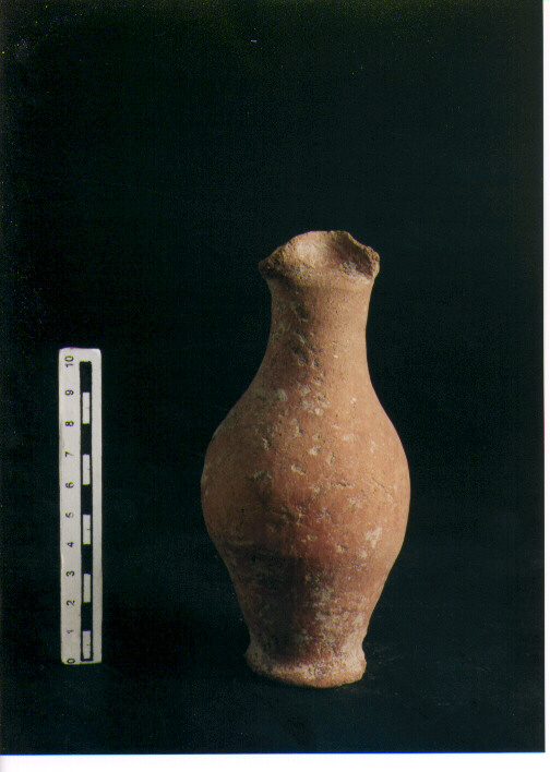 Brocchetta bilobata