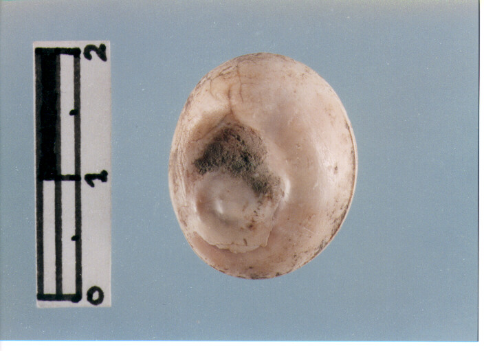 Amuleto