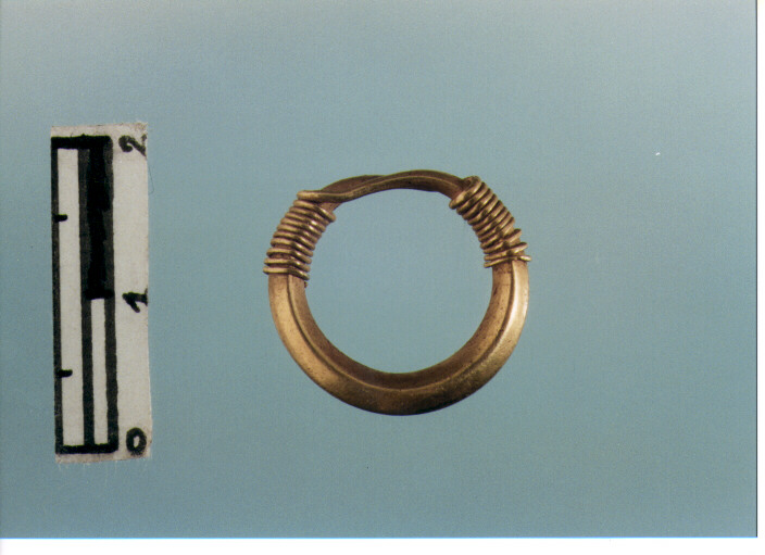 Anello crinale