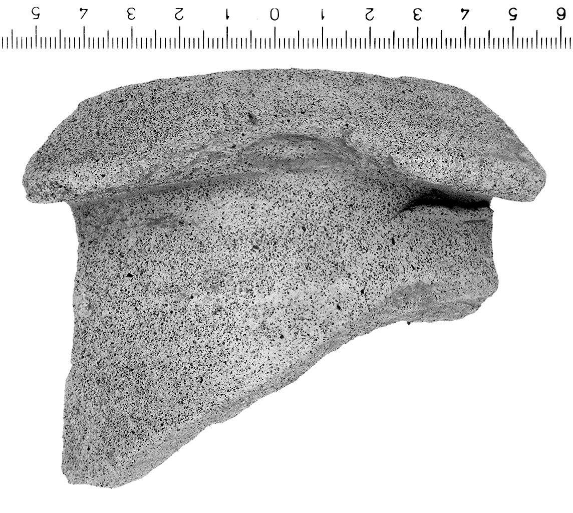 anfora/ orlo (ultimo quarto sec. III a.C)