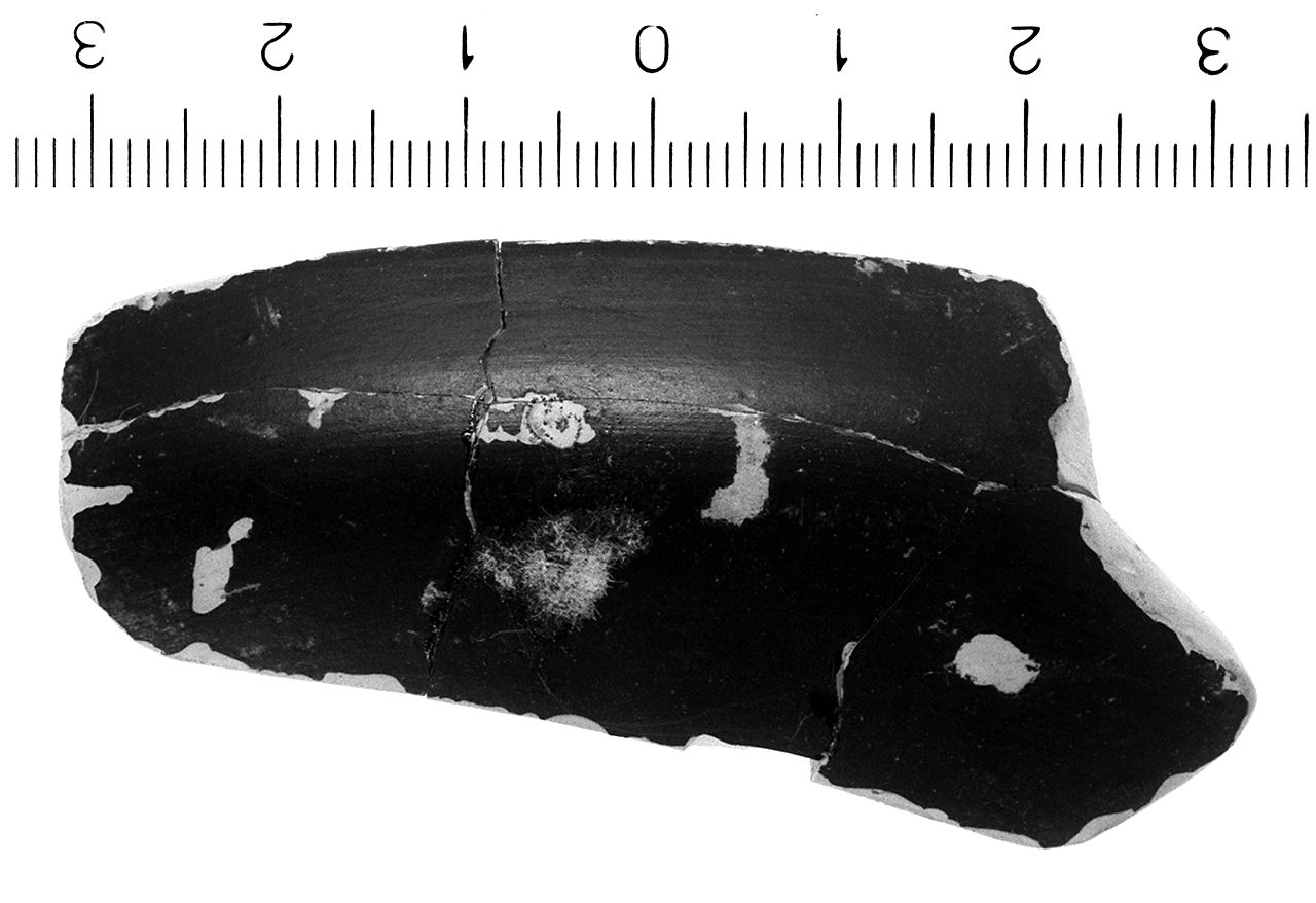 ciotola/ orlo, Morel, serie 2783 (fine/inizio secc. IV/ III a.C)