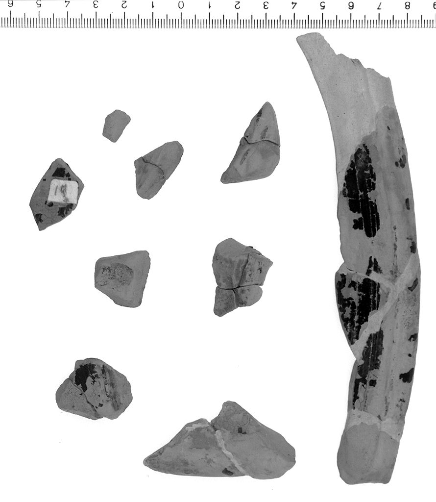 orlo (fine sec. IV a.C)