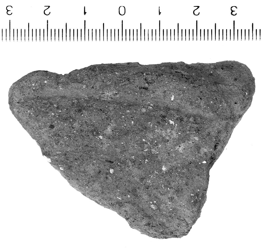 coperchio/ parete (sec. VII a.C)