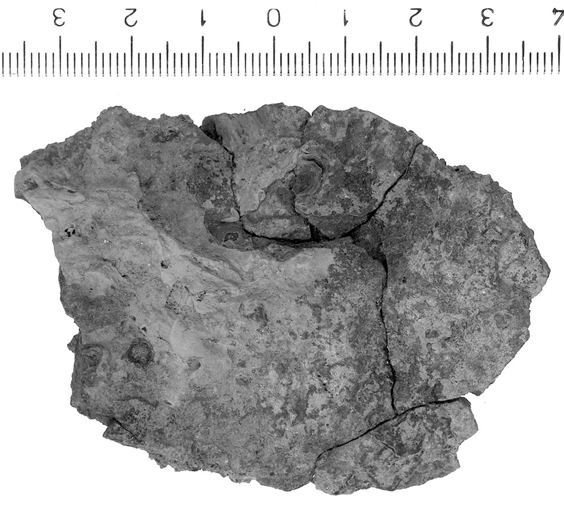 Piastra (secc. VII/ VI a.C)