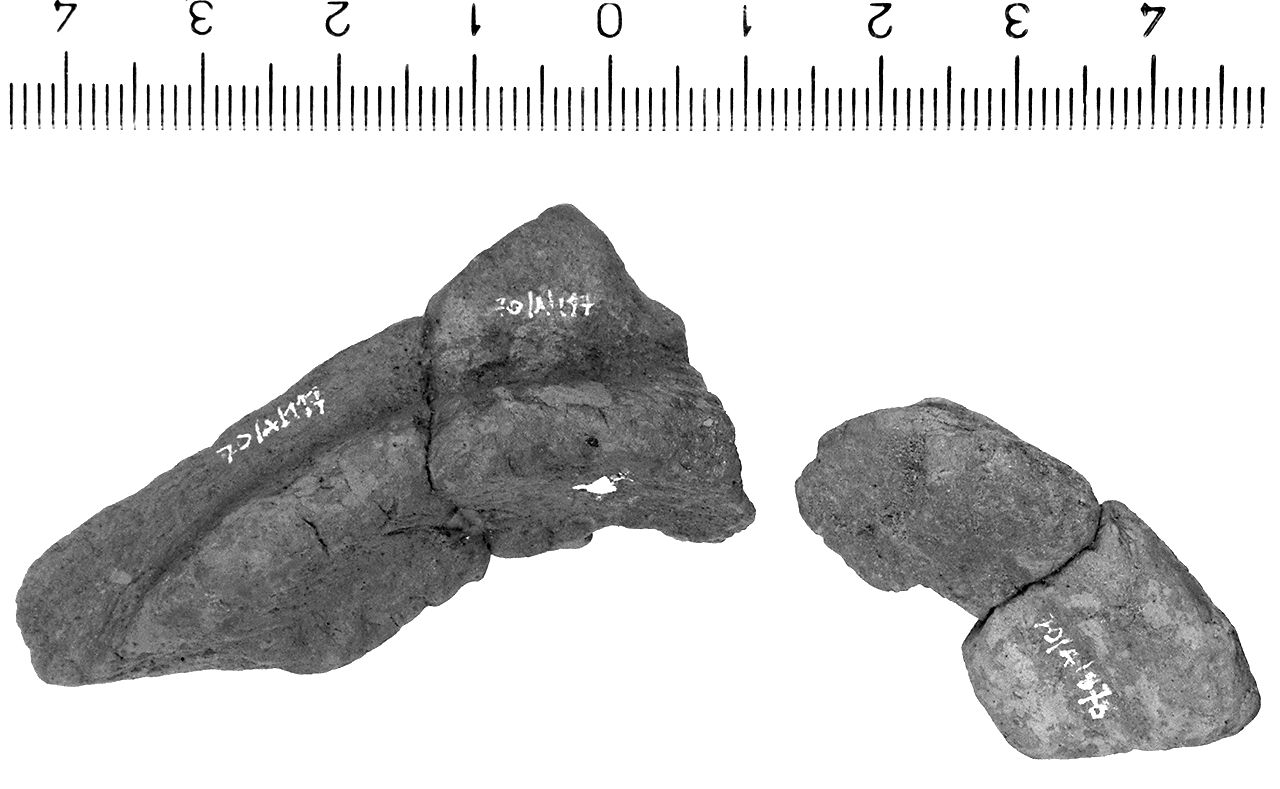 Piede (secc. VII/ VI a.C)