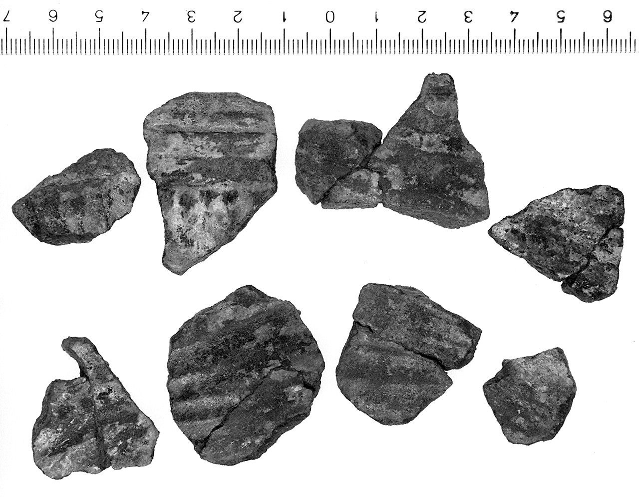 coppe/ frammenti (fine sec. VII a.C)