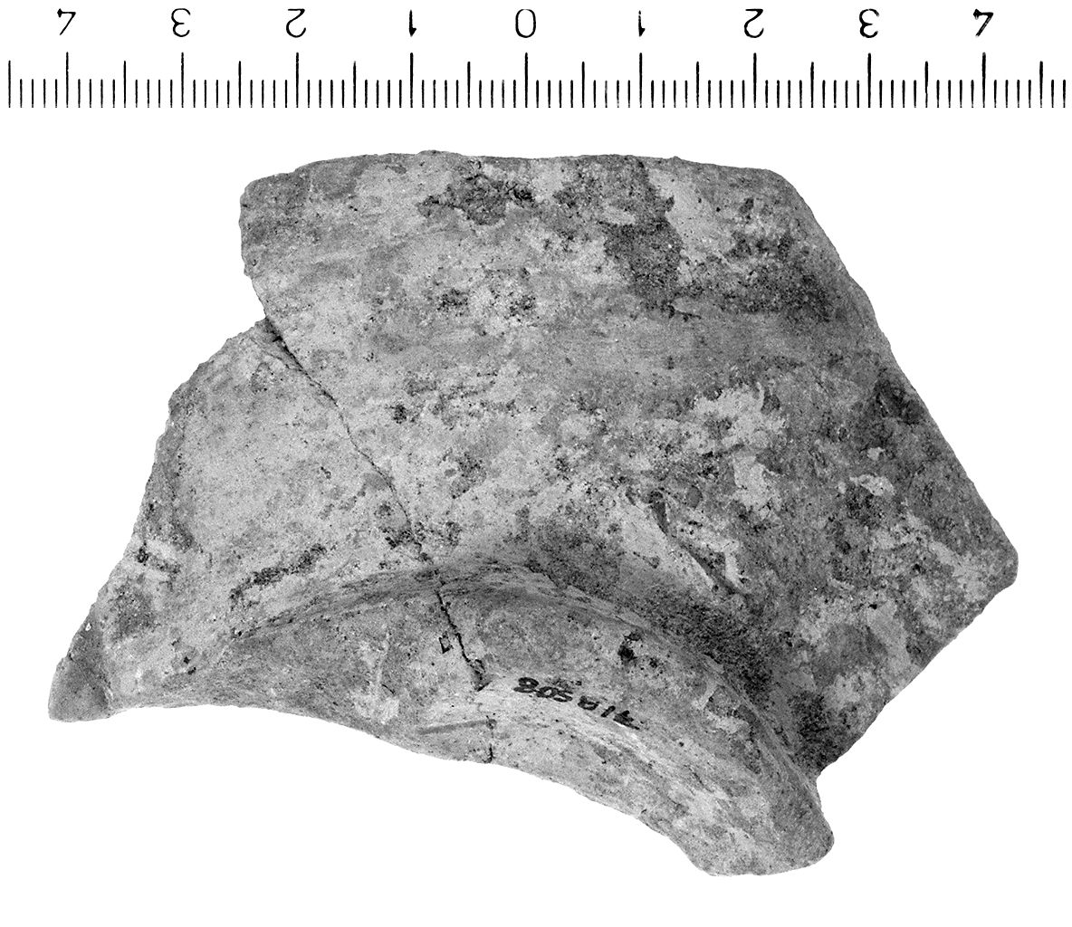 fondo (secc. VI/ V a.C)