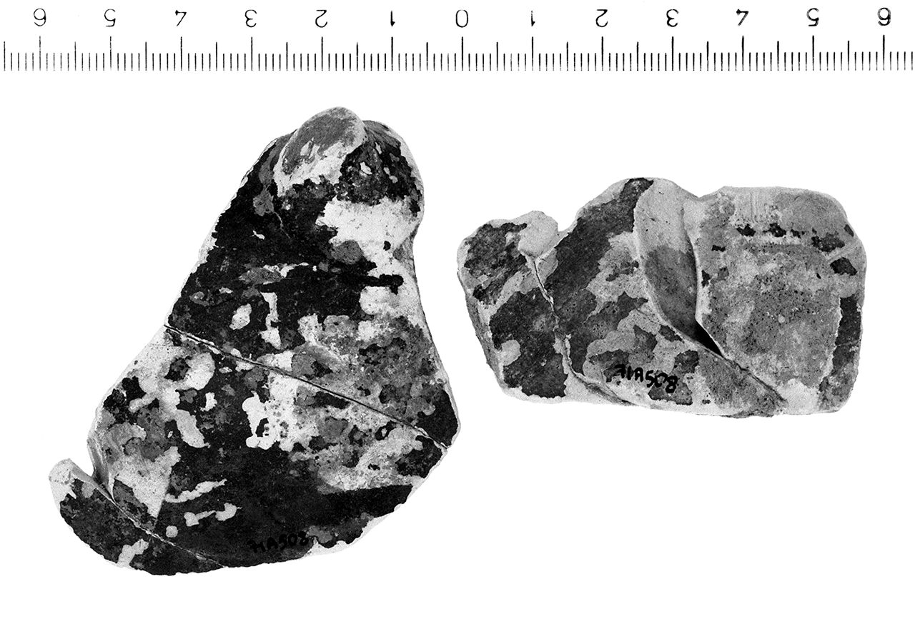 coppa/ ansa (fine/inizio secc. IV/ III a.C)