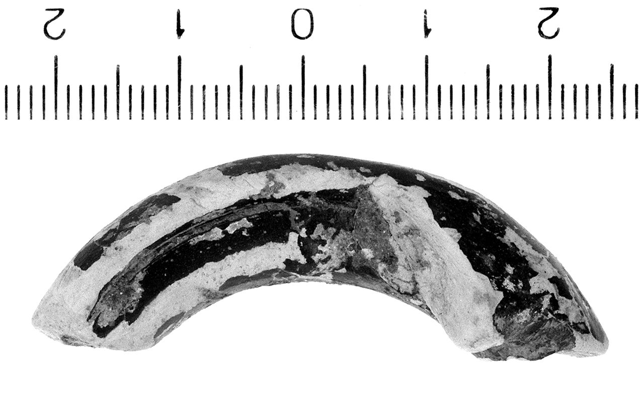 kantharos/ ansa (fine/inizio secc. IV/ III a.C)